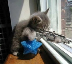 sniper_cat-12474